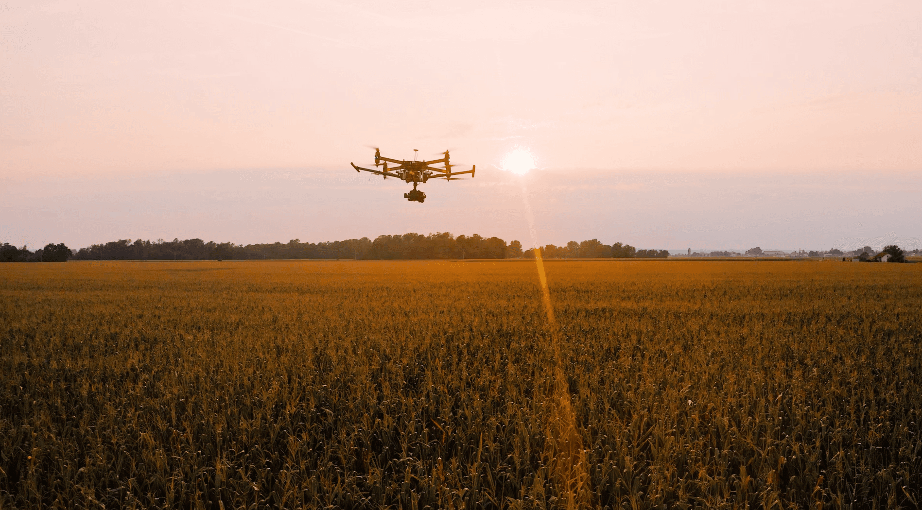 Immagine interna per articolo "Agricoltura di precisione in Italia: innovazione, casi d'uso e sfide per il futuro"